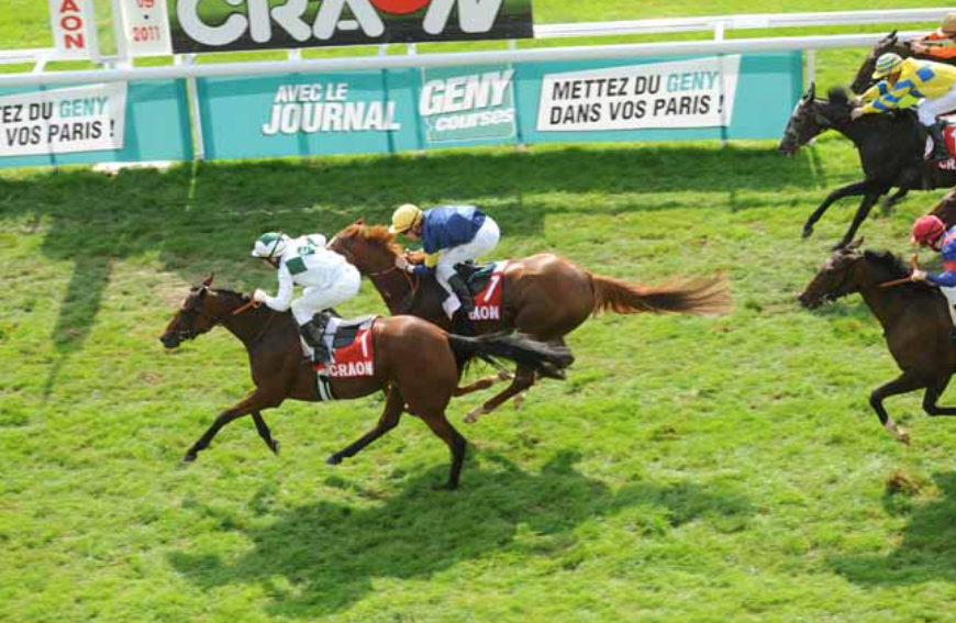 geny || geny courses || geny course || genycourses || genycourse